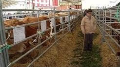 Feira de razas autctonas no Valadouro